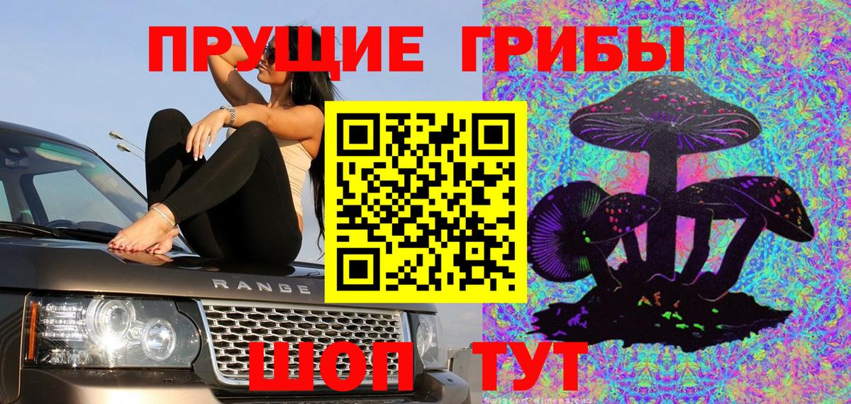 Галлюциногенные грибы Psilocybe Чусовой