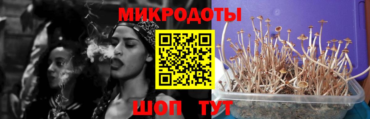 Псилоцибиновые грибы Psilocybe  Галлюциногенные грибы Magic Shrooms  Чусовой  Вход с VPN 